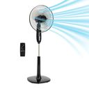AMAZONBASICS Preview
