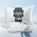 COZSINOOR Preview