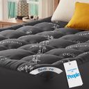 BEDLORE Preview