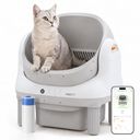 ABRCT Preview
