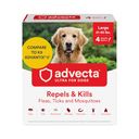 ADVECTA Preview