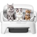 MEOWANT Preview