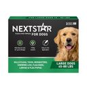 NEXTSTAR Preview