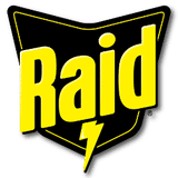 RAID Logo