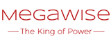MEGAWISE Logo