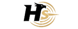 HAWKSEEK Logo