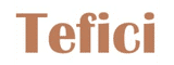 TEFICI Logo