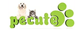 PECUTE Logo