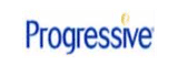 PROGRESSIVE INTERNATIONAL Logo