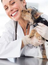 ASPCA Pet Insurance Preview