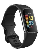 Fitbit Preview
