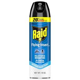 RAID Preview