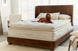 Avocado Mattress Canada Preview
