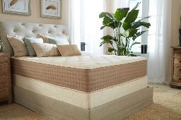Eco Terra Beds Preview