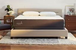 Cocoon by Sealy Preview