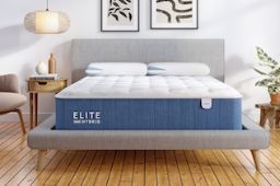 Bear Mattress Preview