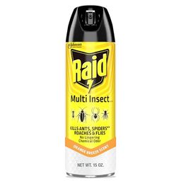 RAID Preview