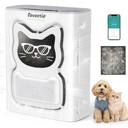 FAVEETIE Preview