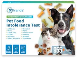 5STRANDS Preview