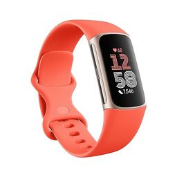 FITBIT Preview