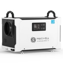 MOISWELL Preview