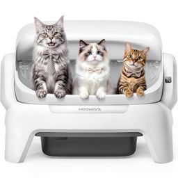 MEOWANT Preview