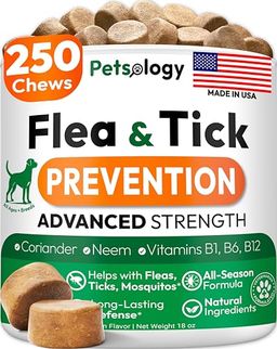 PETSOLOGY Preview