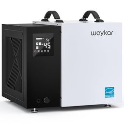 WAYKAR Preview