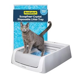 PETSAFE Preview