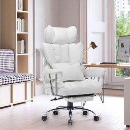 Wellnewlife Prestige Ergonomic Office Chair with Full Body