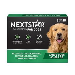 NEXTSTAR Preview