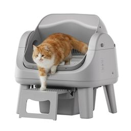 PETPIVOT Preview