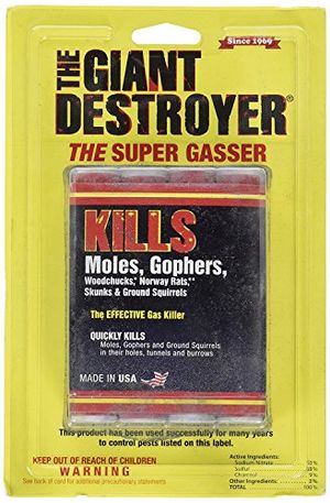 THE GIANT DESTROYER Preview