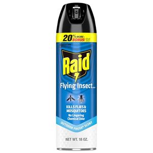 RAID Preview
