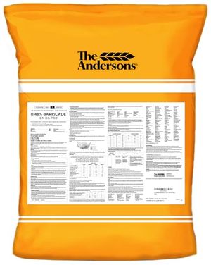 THE ANDERSONS Preview