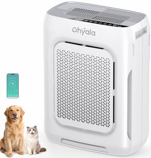 DHYALA Preview