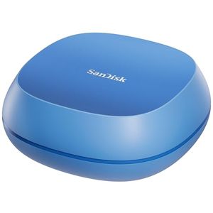 WESTERN DIGITAL Preview