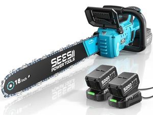 SEESII Preview