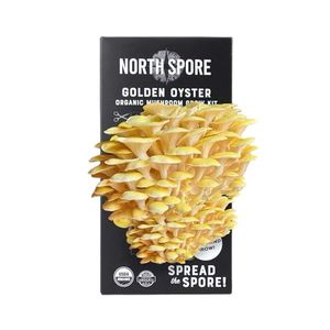 NORTH SPORE Preview