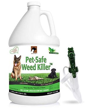 JUST FOR PETS Preview