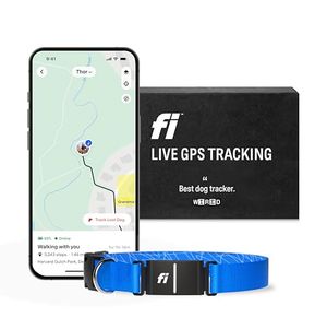FI Preview
