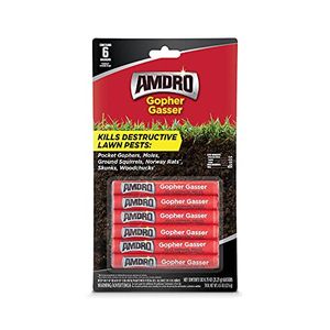 AMDRO Preview