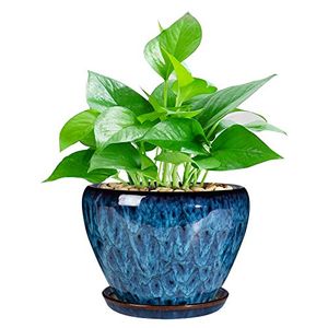 CERAMICFOR Preview