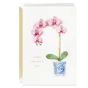 HALLMARK Preview