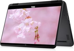 DELL Preview