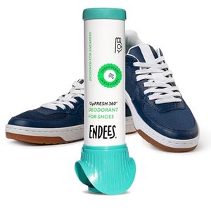 ENDEES Preview