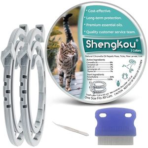 SHENGKOU Preview
