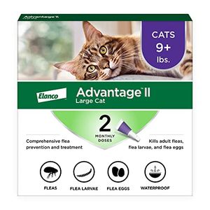 BAYER ANIMAL HEALTH Preview