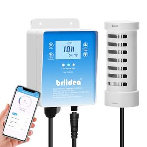 BRIIDEA Preview