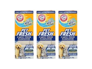 ARM & HAMMER Preview